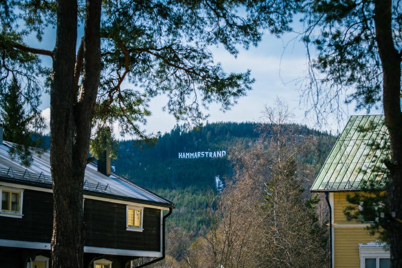 Hammarstrand Budget Hotell- Lergodset 外观 照片